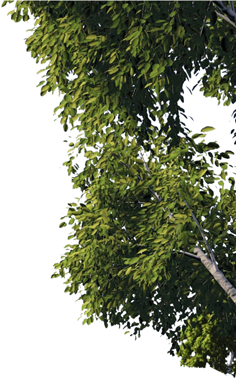 Dreamworld - Dreamworld - Dreamworld - Dreamworld - - Plane (499x789), Png Download