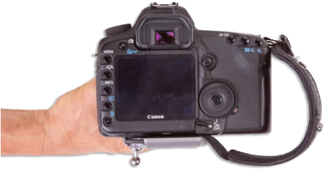 Camera Bodies Without A Vertical Grip - Spider - Spiderpro Hand Strap - Ivory (620x290), Png Download