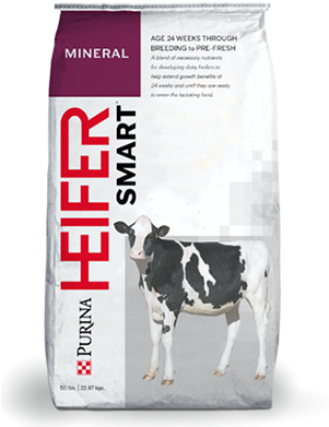 Purina® Heifersmart® Mineral - Purina Mills (300x430), Png Download