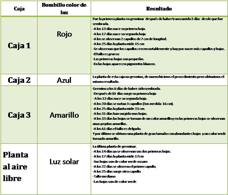Conclusiones - Bitacora De Crecimiento De Una Planta (804x691), Png Download