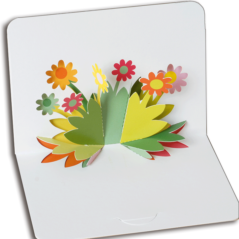 Popup Flowers Blank Greetings Card A6 - Pop Up Flowers (800x800), Png Download