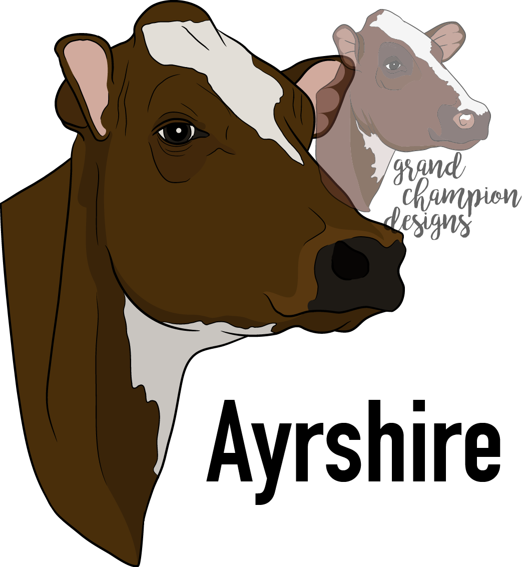 Working Animal (1043x1133), Png Download