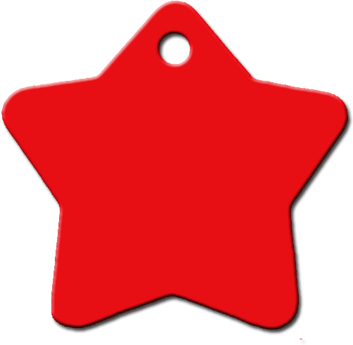 Estrella Plateada Placa Personalizada Para Perro Gato - Dog (600x600), Png Download