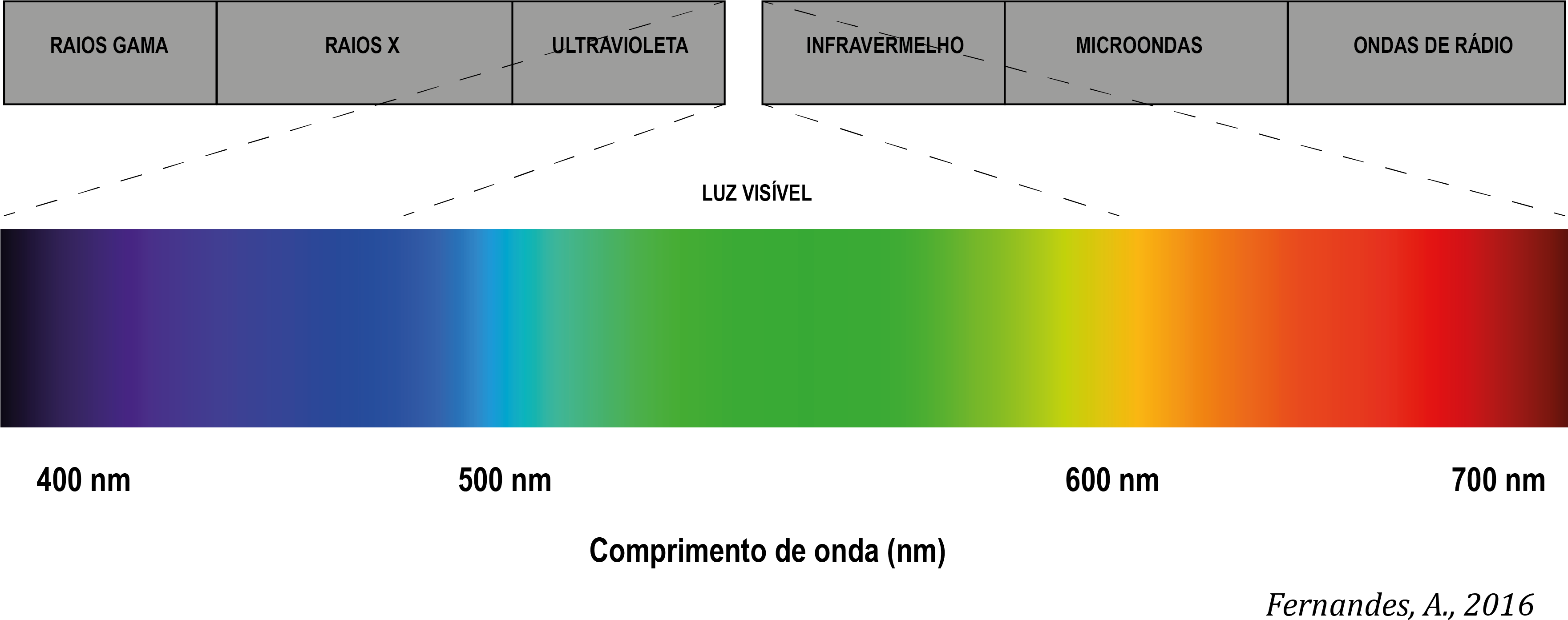 Espectro Luz Visível - Spectre D Absorption De La Lumière (3523x1432), Png Download