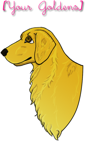 Banner (300x500), Png Download