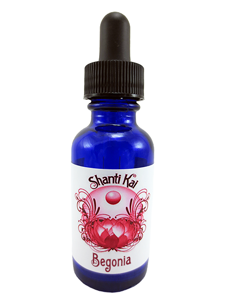 Begonia - Flower (450x600), Png Download