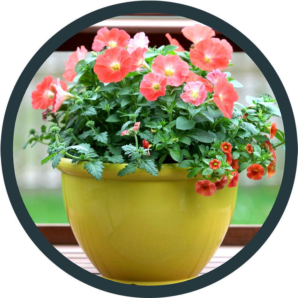 Point Of Purchase - Flowerpot (969x966), Png Download