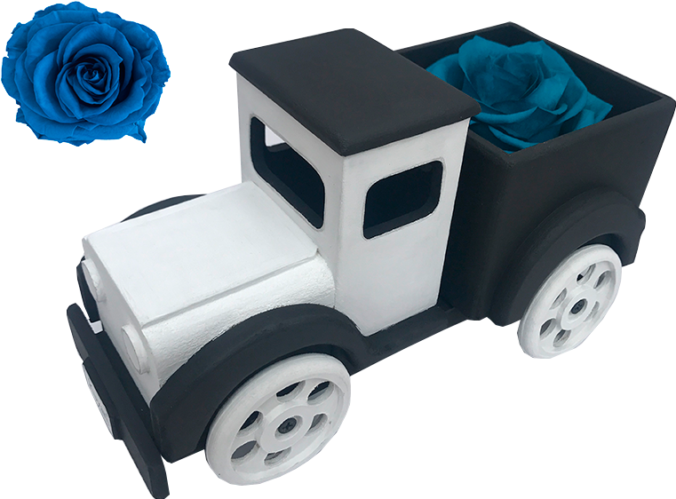 Caro Blanconegro Rosa Turquesa (960x720), Png Download