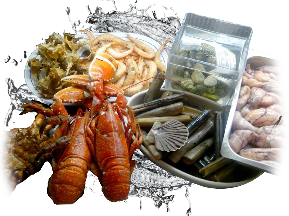 Alfoz Expositor Mariscos - Seafood Boil (960x720), Png Download