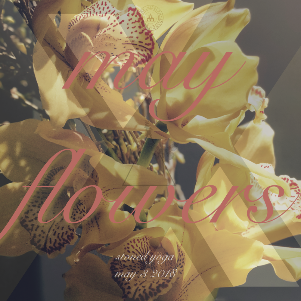 May Flowers (1000x1000), Png Download