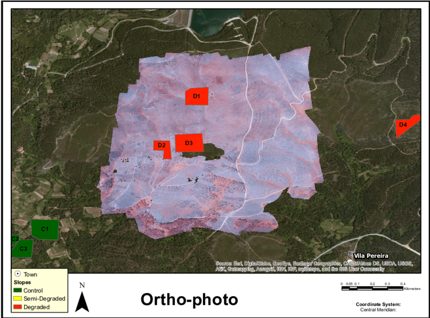 Orthophoto With World Map Backdrop - Map (850x623), Png Download