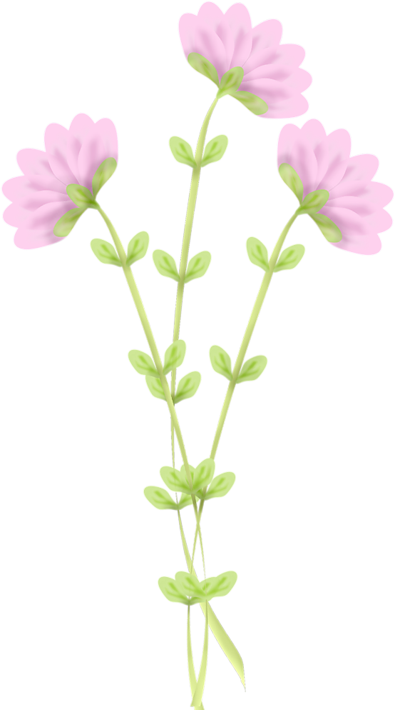 Mlc What May Be Flower59 - Flower (600x1024), Png Download
