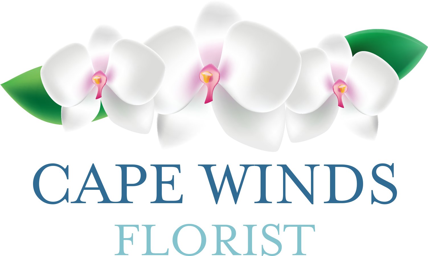 Cape Winds Florist (1502x944), Png Download