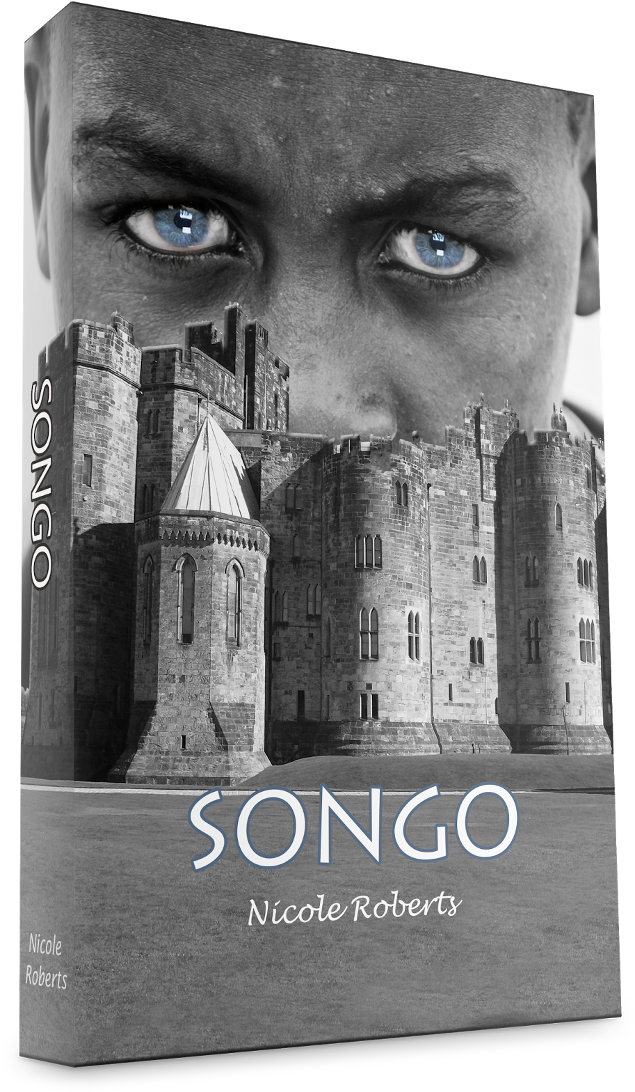 3d Ebook Cover - Northanger Abbey By Jane Austen 9781535193504 (paperback) (1159x1600), Png Download