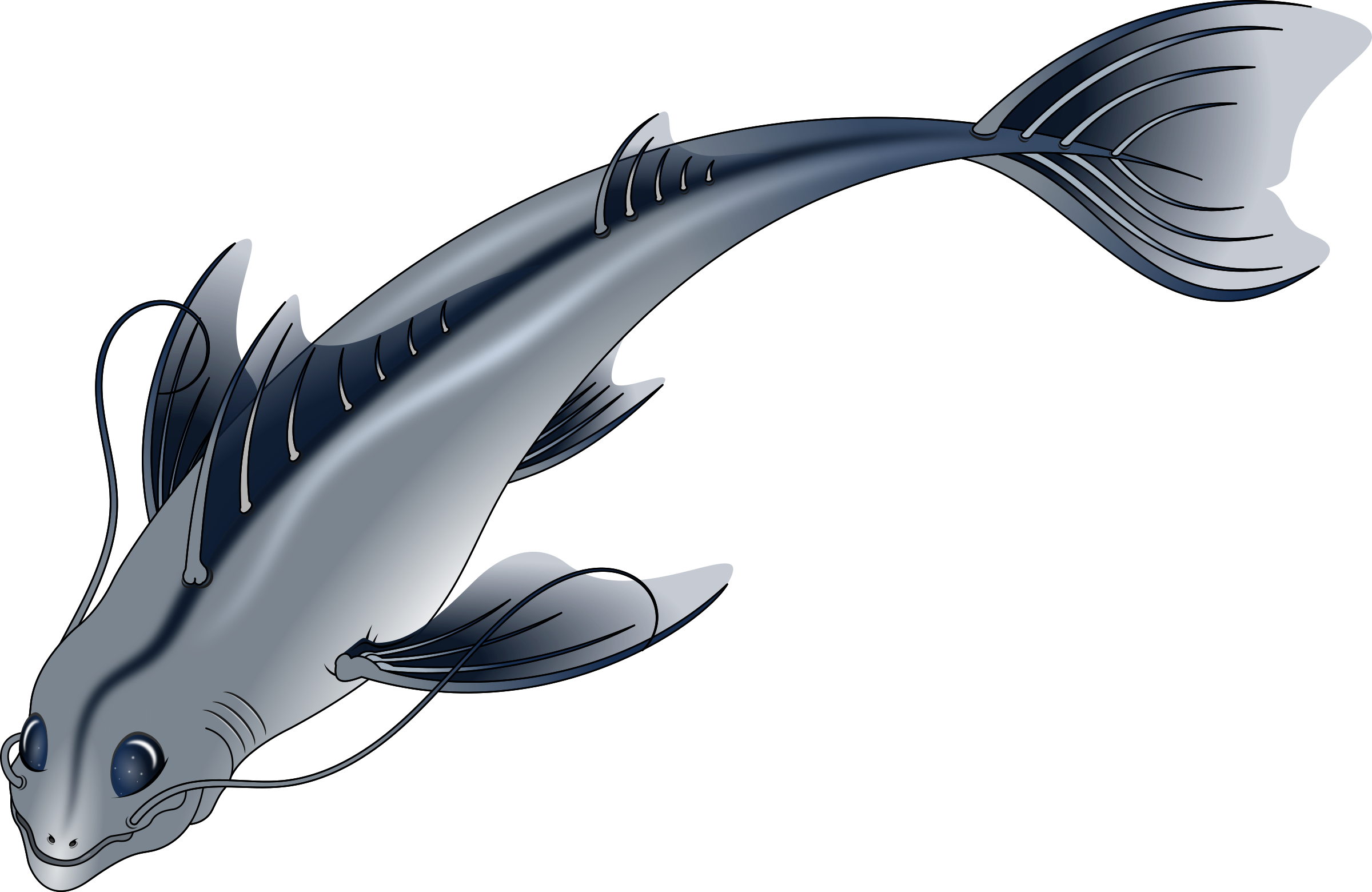 Big Image - Imagenes Png De Pescados (2400x1560), Png Download