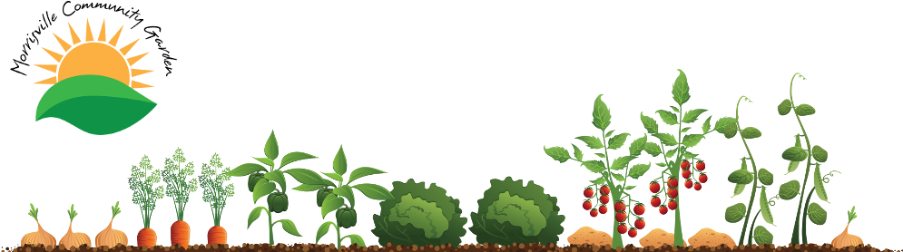 Download Garden Clipart Community Garden - Vegetable Garden Illustration PNG  Image with No Background 