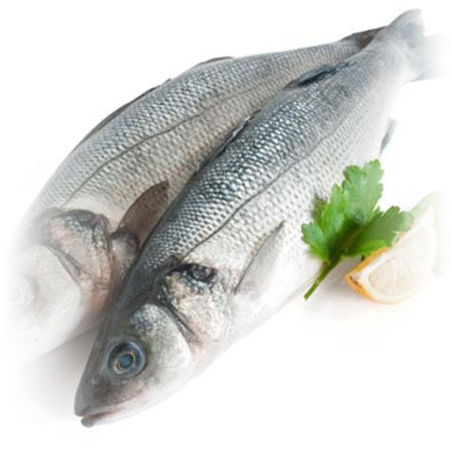 Fishes Fresh (460x461), Png Download