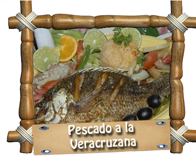 Back - Salmon (400x325), Png Download