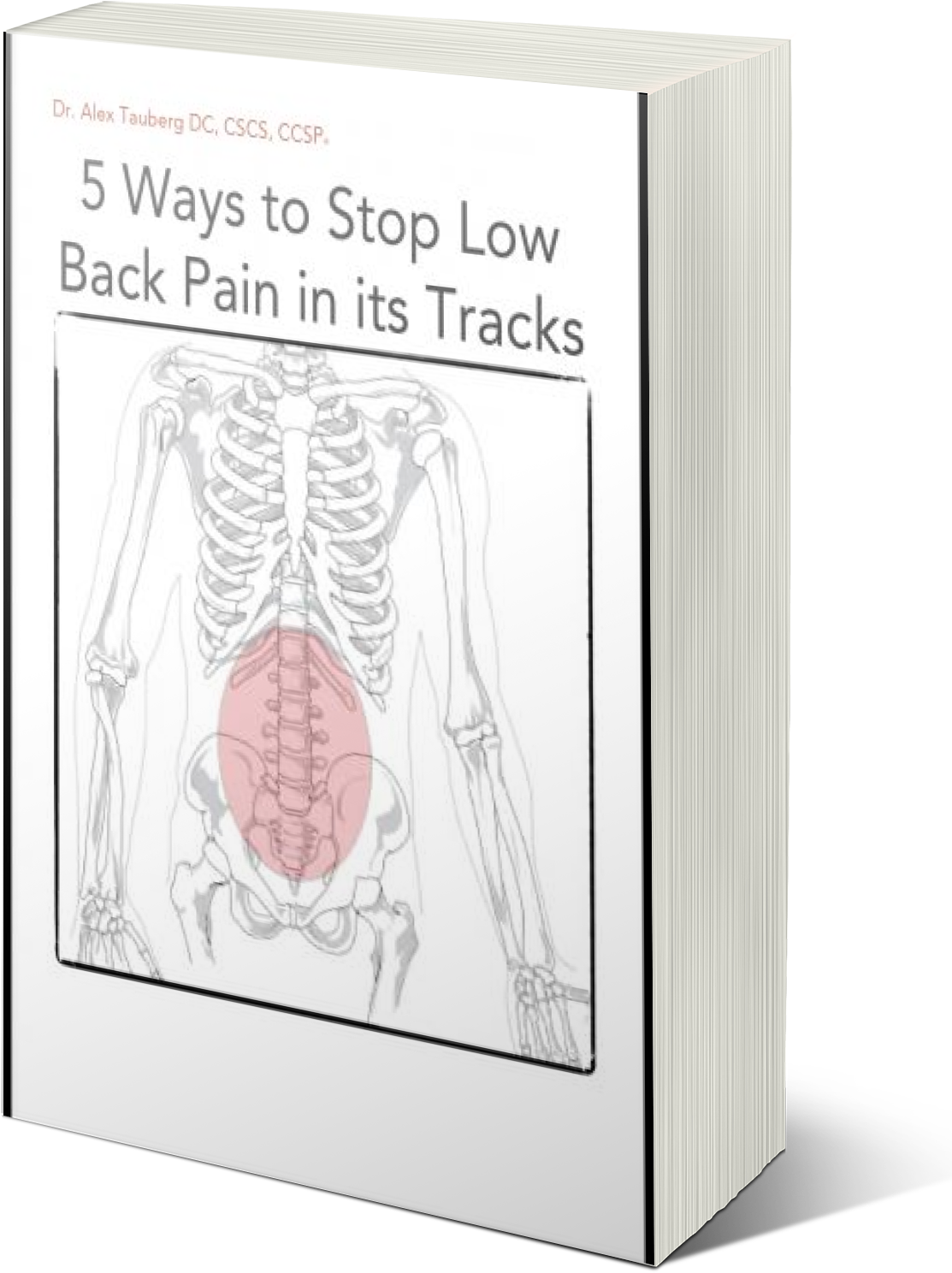 Low Back Pain Ebook - Human Skeleton (1300x1600), Png Download