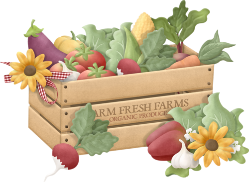 Clip Art Pictures, Vegetable Pictures, Farmers' Market, - Sunflower (500x366), Png Download