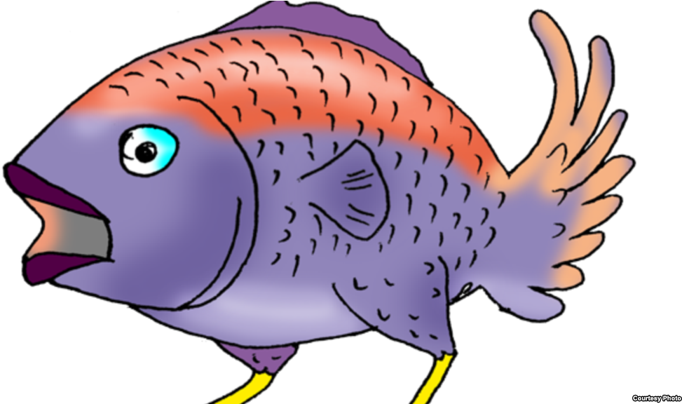 Pescado Con Plumas, Cortesía De Primavera Digital - Pollo Por Pescado (1023x575), Png Download