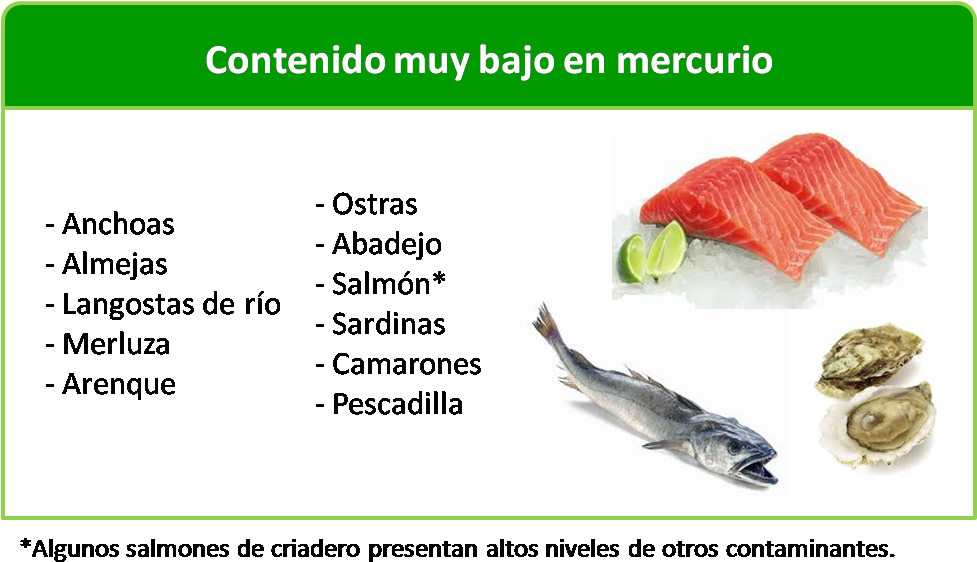 Durante El Embarazo, ¿qué Tipo De Pescado Se Puede - Puedo Comer Durante La Lactancia (978x578), Png Download