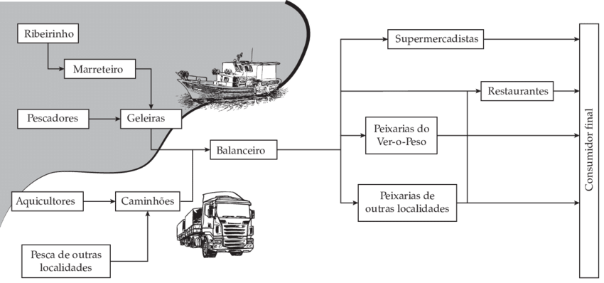 Cadeia De Suprimentos Simplificada Do Mercado De Pescado - Cadeia Produtiva Do Pescado (850x398), Png Download