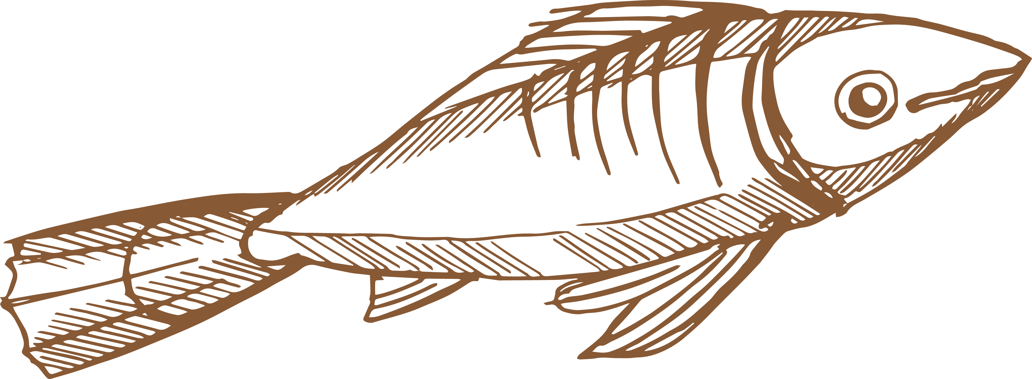 Pescado - Illustration (3582x1317), Png Download