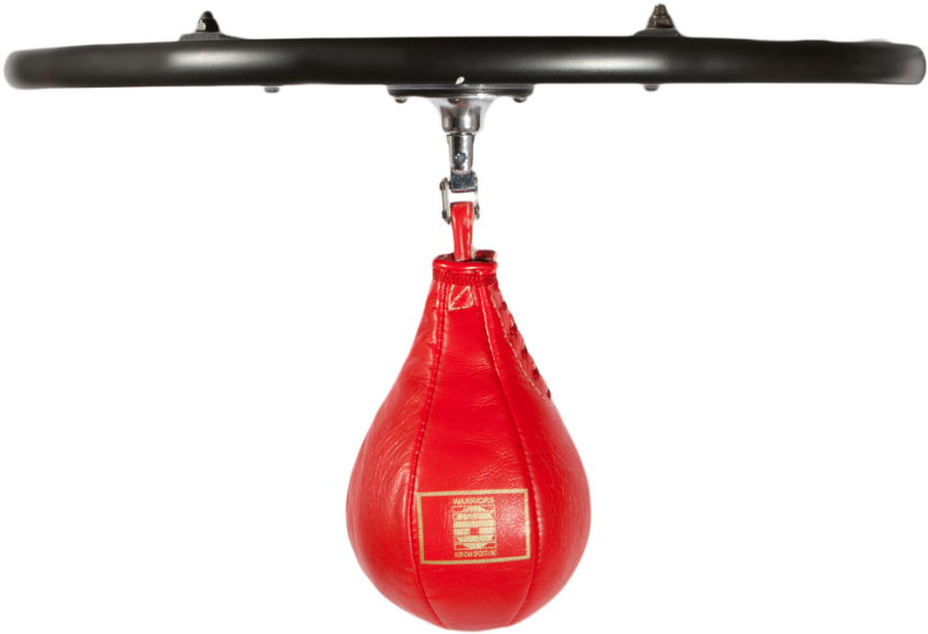 Speed Bag - Boxing (863x863), Png Download