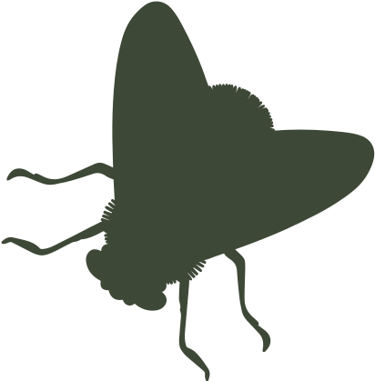 Fly - Portable Network Graphics (631x631), Png Download