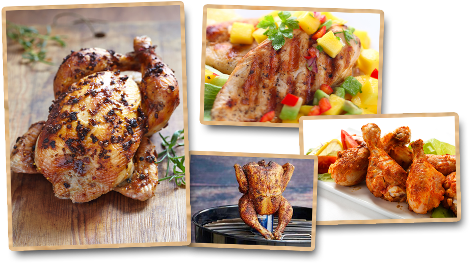 Chicken Pics - Chicken (1000x540), Png Download