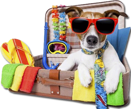 Perro Y Maleta - Poster: Brosch's Summer Holiday Dog, 61x46cm. (423x353), Png Download