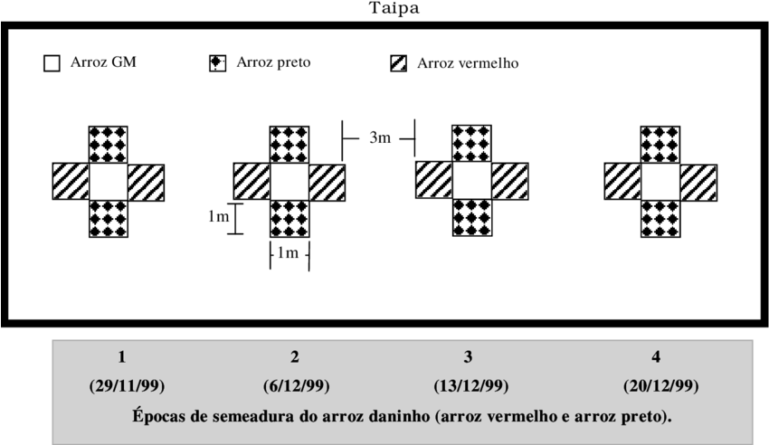 -croqui Do Experimento Instalado No Campo Para Estudo - Science (850x501), Png Download