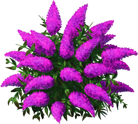 Butterflybushblue3 - Flower (500x500), Png Download