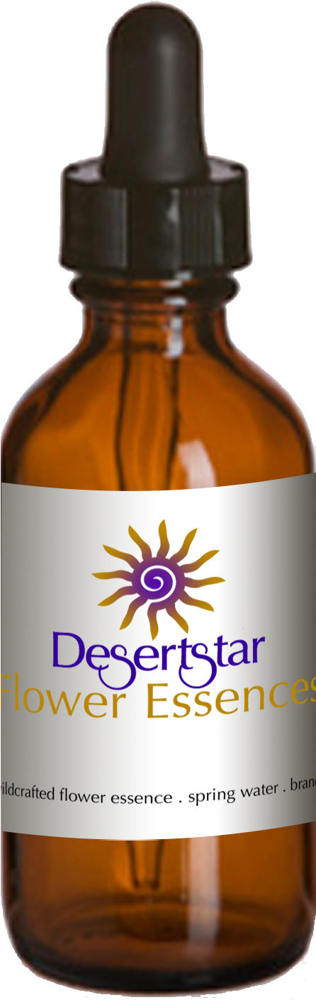 1oz Bottle Desertstar Flower Essence/ $20 - Vitamin C 40 High Potency Serum In 5 Retinoic Acid (481x1458), Png Download