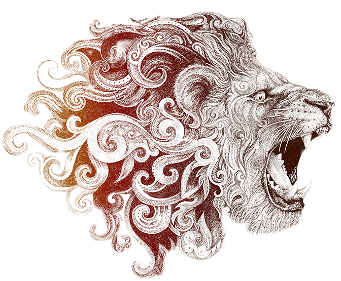 Leão Tribal Agência Leomhann Publicidade - Hand Drawn Lion Design Beige Printed Canvas Tote Bags (1070x720), Png Download