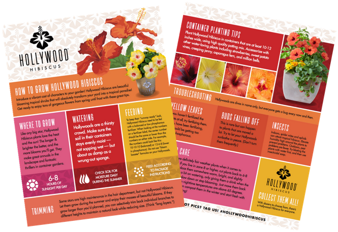Need Help Growing And Caring For Your Plants - Email (720x474), Png Download