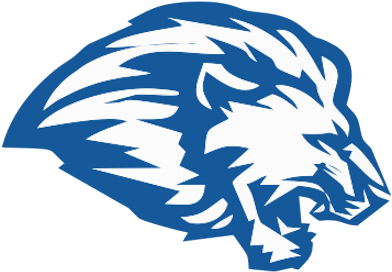 Meu Leão - Lion (400x400), Png Download