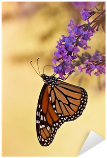 Monarch Butterfly On Purple Butterfly Bush Flowers - Monarch Butterfly (400x400), Png Download