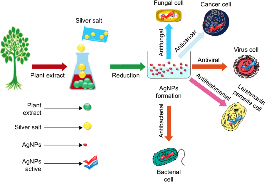 Graphical Abstract Representing The Synthesis And The - Diagram (850x584), Png Download