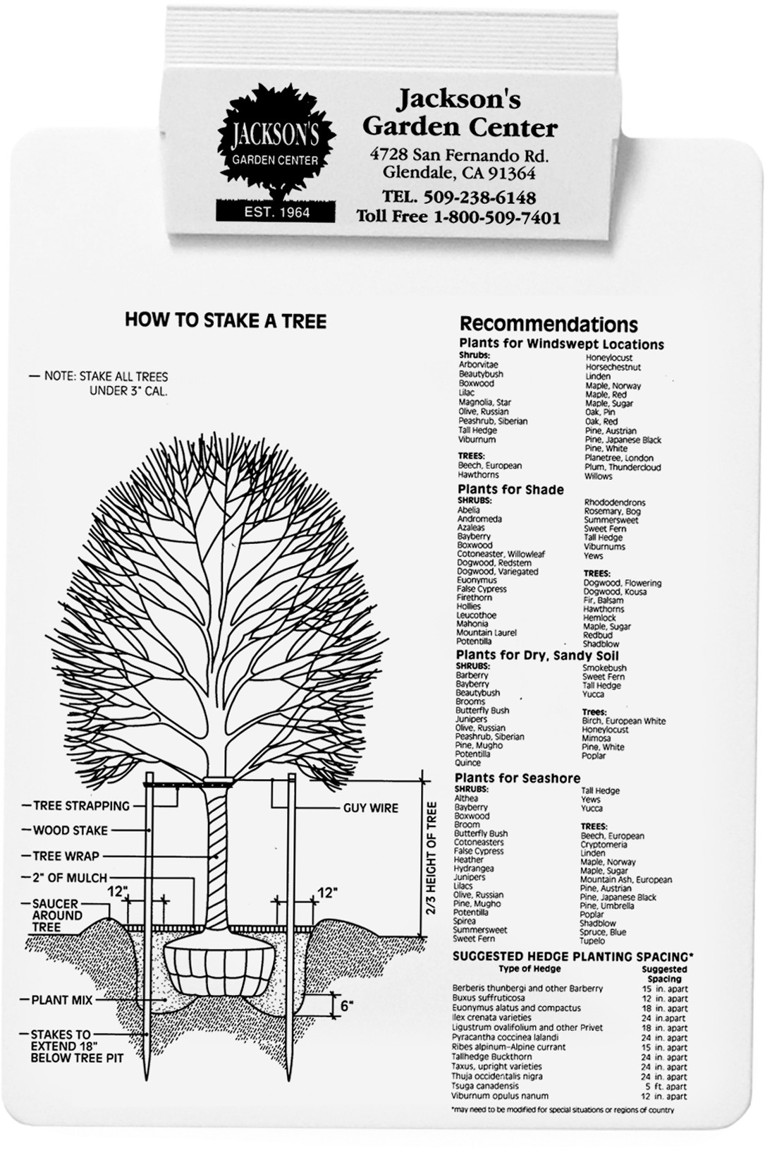 423 Tree Plantinghires - Tree (1084x2607), Png Download