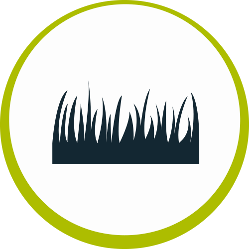 Drystock - Agrisea Nz (500x500), Png Download