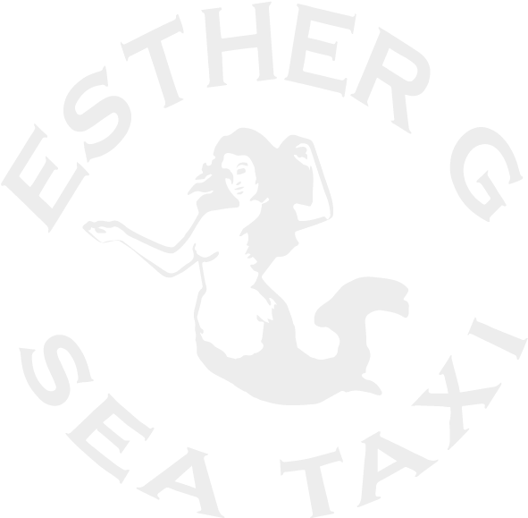 Ship (600x600), Png Download