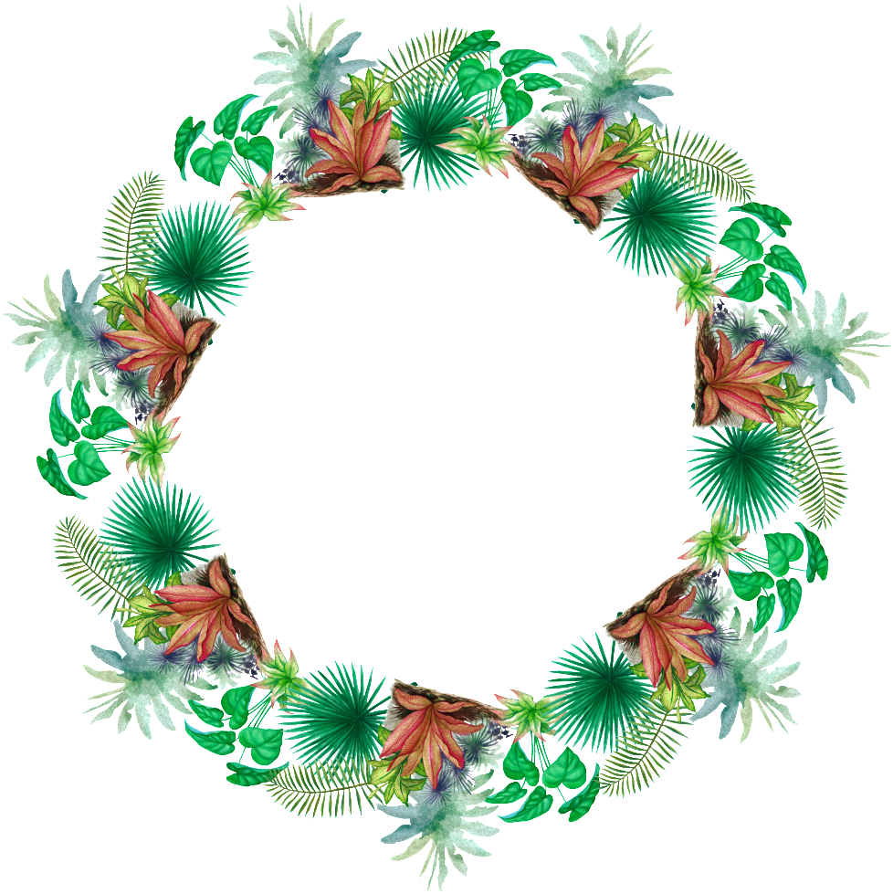 Beautiful Green Wreath Png Transparent - Flower (1024x1028), Png Download