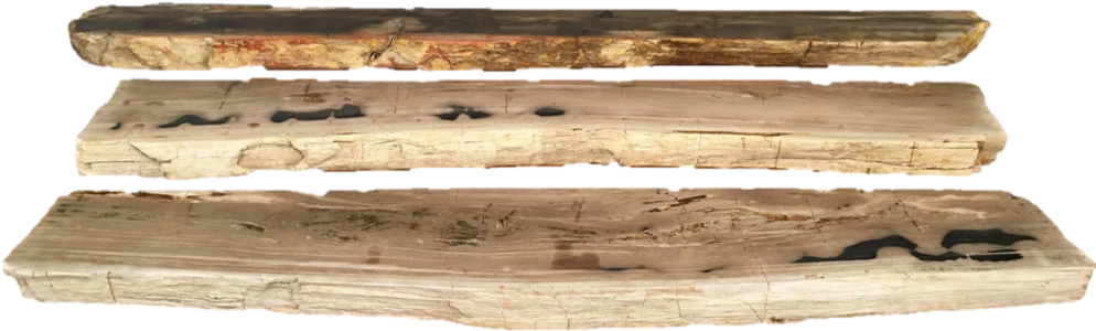 Petrified Wood Fireplace Mantels And Large Shelves - Petrified Wood Png (1024x346), Png Download