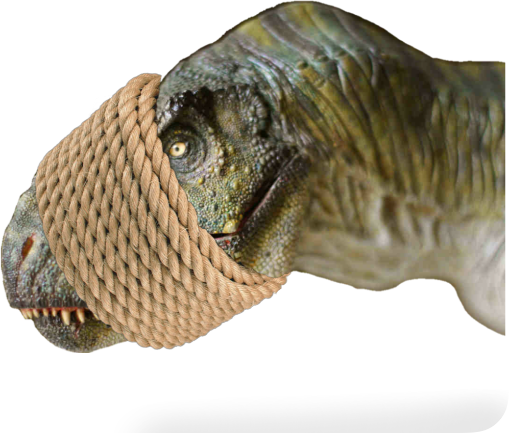 Ftestickers Dinosaur Morred Tied Rope Stickers Freetoe - Surya Carpet, Inc. Machine Woven Dorean Tencel Rug (1024x1024), Png Download