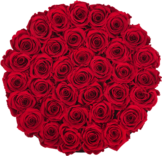 Prev - New York City (800x766), Png Download