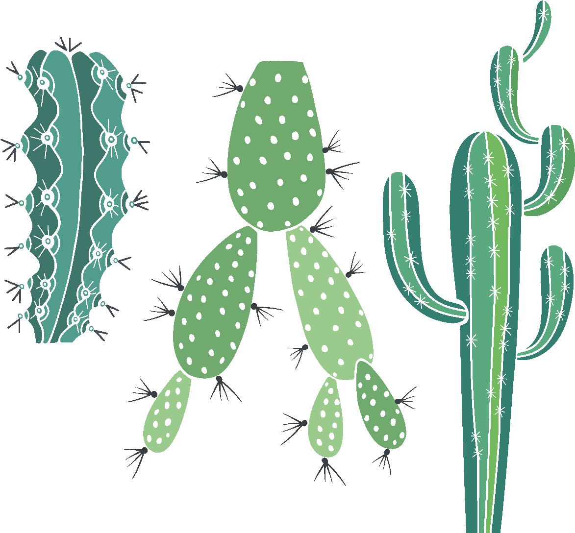 Sticker Boheme 3 Cactus Piquants Ambiance Sticker Col - Eastern Prickly Pear (1200x1200), Png Download