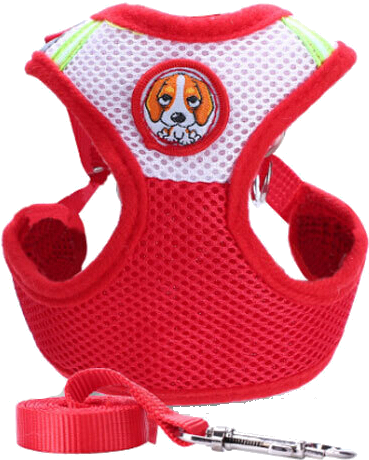 Pedijoy Dog Chest Back Traction Rope Chest Straps Tied - Dog (800x800), Png Download