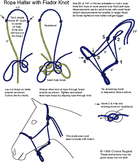 Connie Nygard Instructions For Make A Rope Halter With - Make A Horse Rope Halter (500x593), Png Download